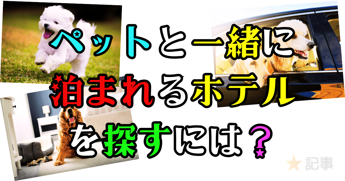 ペットと一緒に泊まれるホテルを探す