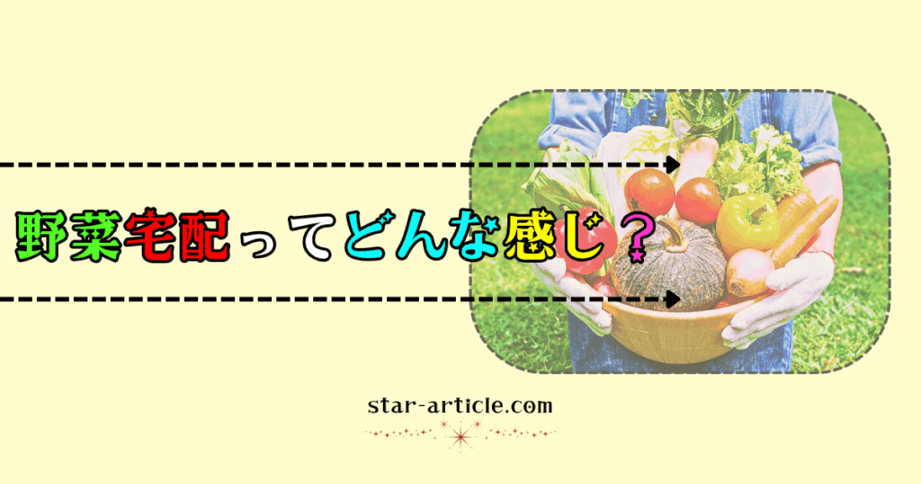 野菜宅配ってどんな感じ？｜ほし記事