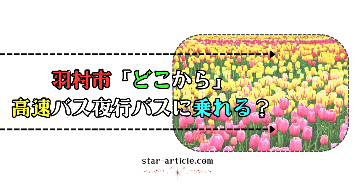 羽村市どこから高速バス夜行バスに乗れる？｜ほし記事